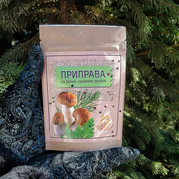 Фото Приправа из белых сушеных грибов