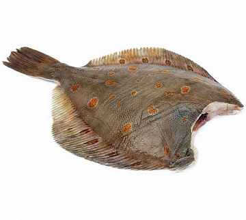 Фото Камбала пятнистая Мурманская потрошеная без головы