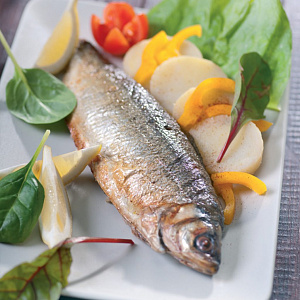 Превью Сиг (0,3 -1 кг)