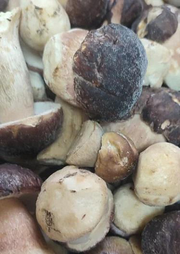 Фото Грибы белые экстра целые, замороженные 11 кг