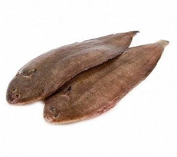 Фото Морской язык дикий замороженный не потрошенный 0,1-0,3