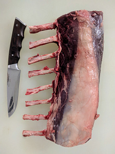 Превью Корейка европейского благородного оленя на кости