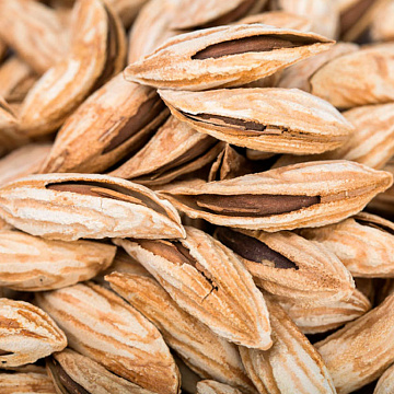 Фото Миндаль неочищенный (в скорлупе)