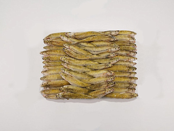 Корюшка свежемороженая 23+Аргентинская (коробка20кг) Фото Корюшка свежемороженая 23+Аргентинская (коробка20кг)