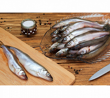 Фото Корюшка малоротая 12-15см свежемороженая