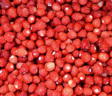 Земляника лесная свежемороженая 80гр 