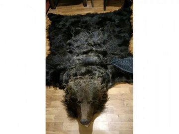 Ковер из шкуры бурого медведя с открытой пастью Фото Ковер из шкуры бурого медведя с открытой пастью