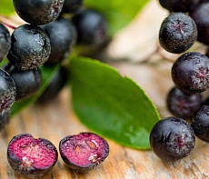 Черноплодная рябина быстрозамороженная (мешок 30 кг)