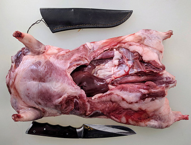 Превью Нутрия тушка 5+