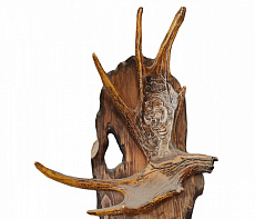 Рог лося с тигром