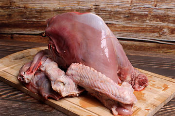 Фото Шея глухаря