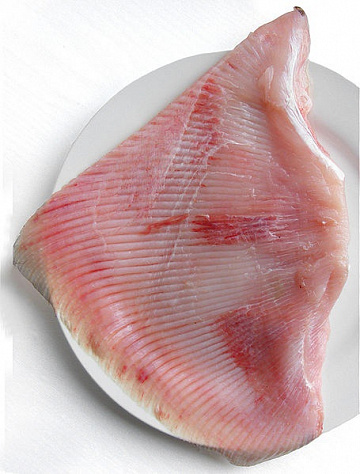 Фото Крылья ската очищенного без кожи (Крым)