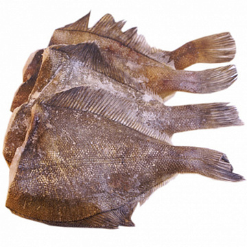 Фото Камбала белобрюхая ПБГ(коробка 22кг)