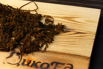 Фото Морской виноград сахалинский