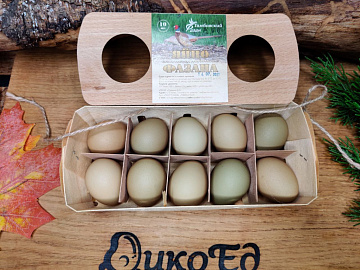 Фото Яйцо фазана