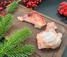 Коленная чашечка медведя 