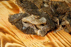 Желудок северного оленя (не очищенный, резанный)